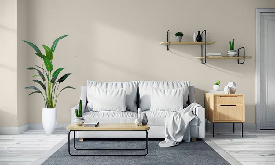 Beige Royal paint colour inspiration