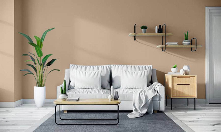 Brown Paint Colours colour example