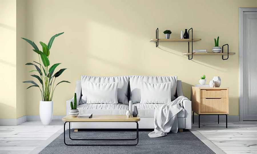 Arctic Daisy paint colour inspiration