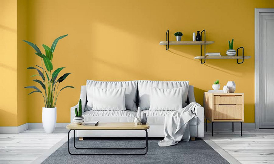 Yellow Paint Colours colour example